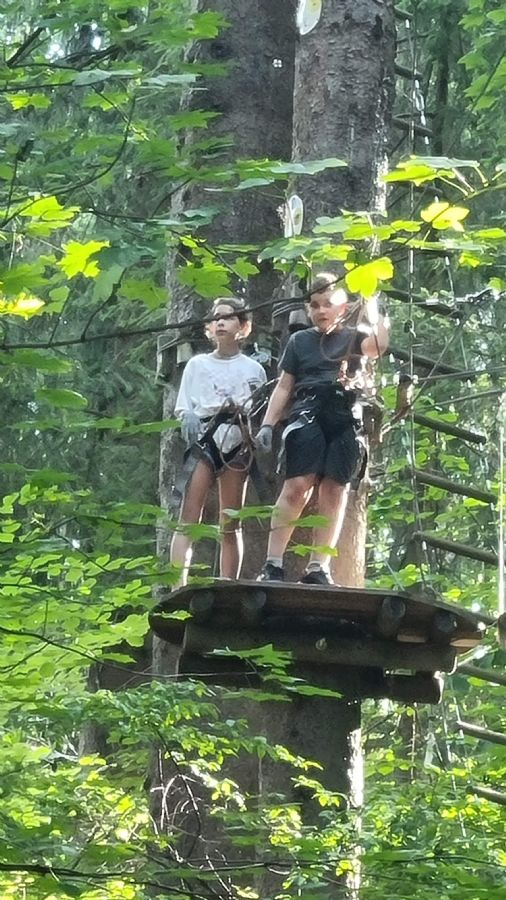 שאמוני והאלפים הצרפתיים